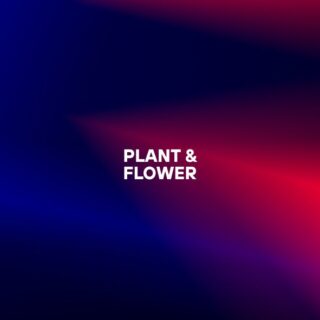 Plants & Flower