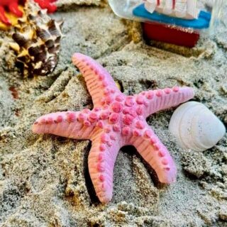 Star fish marble stone fridge magnet
