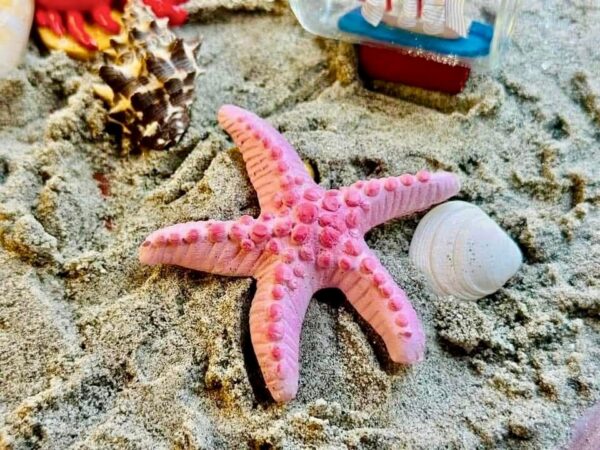 Star fish marble stone fridge magnet
