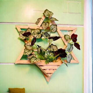Wall hanging plants v3