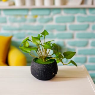 Artificial Philodendron Plant