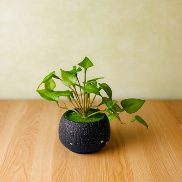 Artificial Philodendron Plant - Image 2