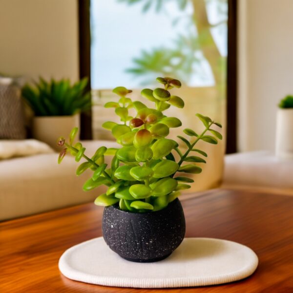 Artificial Jade Plant in Black Textured Pot - Image 2