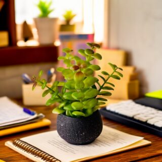 Artificial Jade Plant in Black Textured Pot